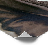 1873 ROCKWOOD WILD BILL HICKOK PORTRAIT POSTER (Ecke)