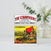 1874 Der Erdbeerzigar Postkarte (Stehend Vorderseite)