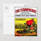 1874 Der Erdbeerzigar Postkarte (Vorne/Hinten)