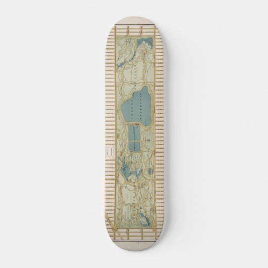 1875 Karte des Central Park Poster Skateboard (Vorne)