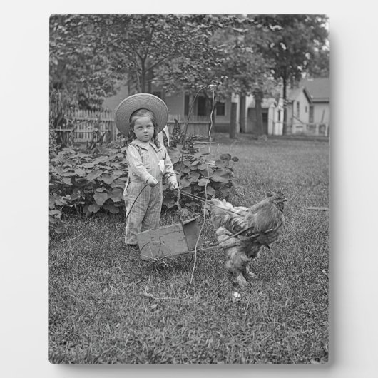 1880er Jahre Adorable Girl and Rooster Cart im Gar Fotoplatte (Vorderseite)