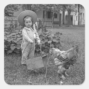 1880er Jahre Adorable Girl and Rooster Cart im Gar Quadratischer Aufkleber