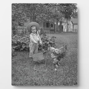 1880er Jahre - Hübsches Mädchen und Hahn-Karren im Fotoplatte