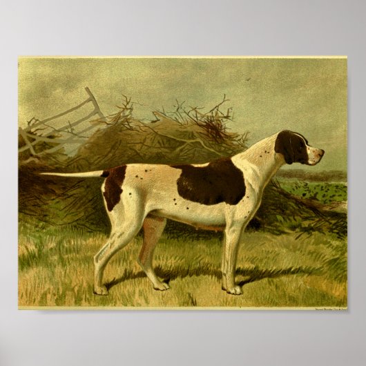 1881 Vintage-Hunde-Druck Pointer Poster (Vorne)