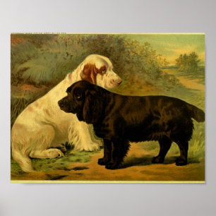 1881 Vintage Spaniels drucken Poster