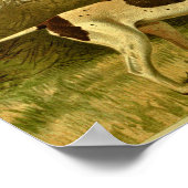 1881 Vintager Zeigedogdruck Poster (Ecke)