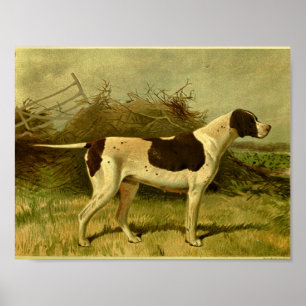 1881 Vintager Zeigedogdruck Poster