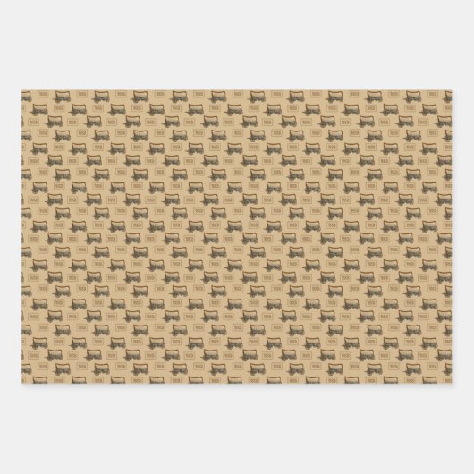 1883 Gelbstein Geschenkpapier Set (Vorderseite)