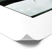 1884 Tornado Poster (Ecke)