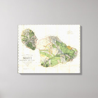 1885 De Witt Alexander Wall Karte von Maui, Hawaii Leinwanddruck