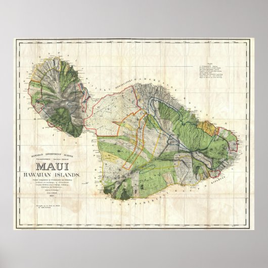 1885 De Witt Alexander Wall Karte von Maui, Hawaii Poster (Vorne)