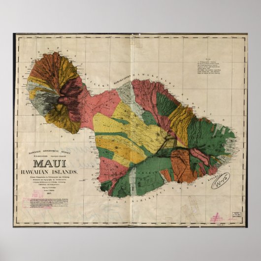 1885 Karte von Maui, Hawaii Poster (Vorne)