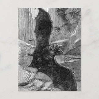 1885 Vampire Bat Illustration Postkarte