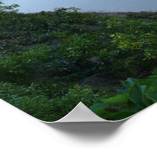 1886 Clements Stone Arch Bridge Poster (Ecke)