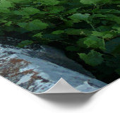 1886 Clements Stone Arch Bridge Poster (Ecke)