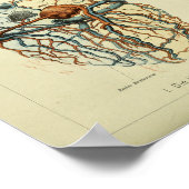 1886 Vintage Anatomie des menschlichen Herzens Pri Poster (Ecke)