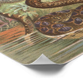 1889 Schlangen des afrikanischen Dschungels Poster (Ecke)