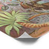 1889 Vögel des afrikanischen Dschungels Poster (Ecke)