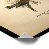 1890 Bird Print Cedar Bird Poster (Ecke)