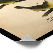 1890 Bird Print Maryland Yellow Warbler Poster (Ecke)