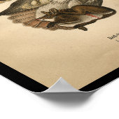 1890 Bird Print Red-Tail Hawk Poster (Ecke)