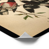1890 Bird Print Rose gebrannter Grosbeak Poster (Ecke)
