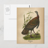 1890 Vogel Wildtruthahn Postkarte (Vorne/Hinten)