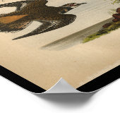 1890 VogeldruckKiller Poster (Ecke)