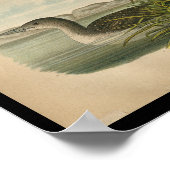 1890 Vogeldruckloon Poster (Ecke)