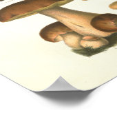 1894 Pilze Variety Fungus Print in deutscher Sprac Poster (Ecke)