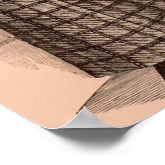 1895 Damenbekleidung und Damenbekleidung in Delina Poster (Ecke)