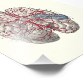 1895 Human Anatomy Print Brain Fotodruck (Ecke)