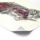 1895 Menschliche Anatomie Druckkunst Fotodruck (Ecke)