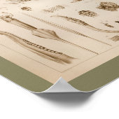 1896 Vintager Tintenfisch Octopus Anatomie Art Pri Poster (Ecke)