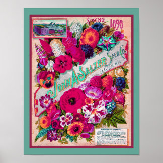 1898 Salzer Seed Company Katalog Poster