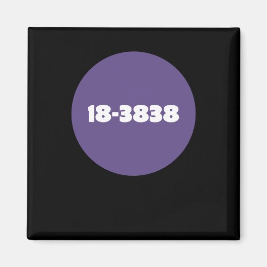 18-3838 MAGNET (Vorne)