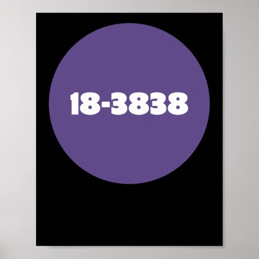 18-3838 POSTER (Vorne)