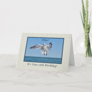 18. Geburtstagskarte mit Laughing Gull Bird Karte