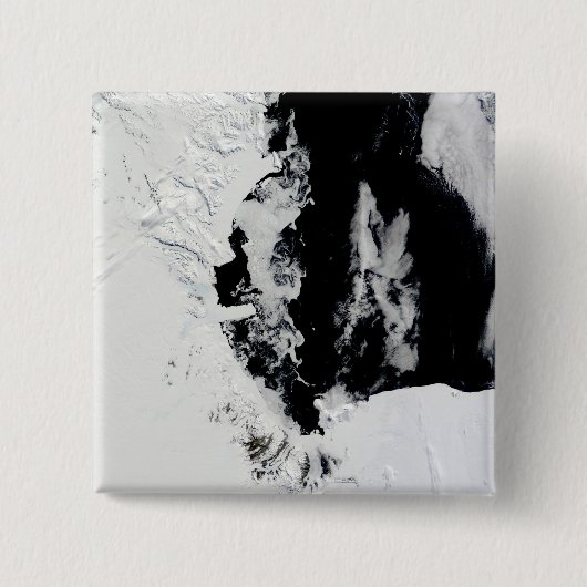 18. Januar 2010 - Rosssee, Antarktis Button (Vorderseite)