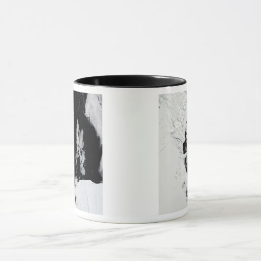 18. Januar 2010 - Rosssee, Antarktis Tasse (Zentrum)