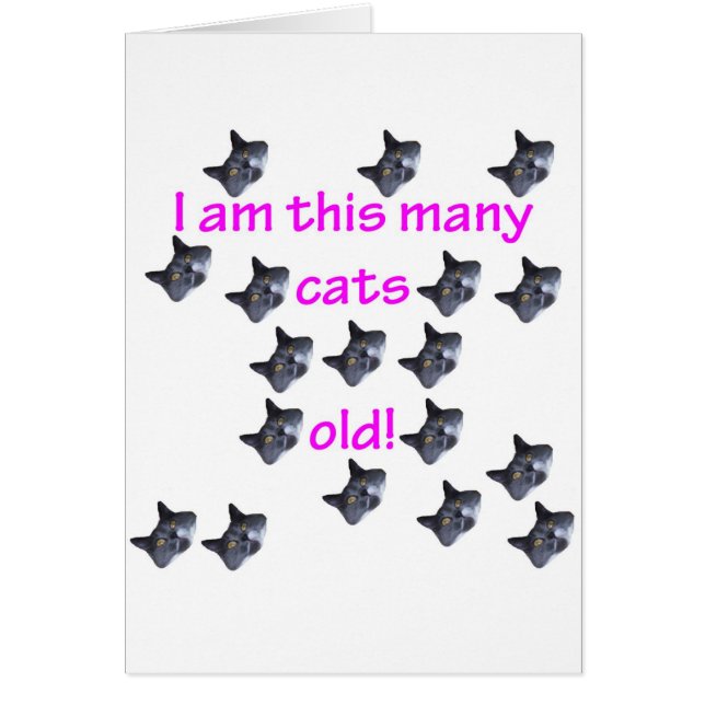 18 Katzen-Köpfe alt (Vorne)