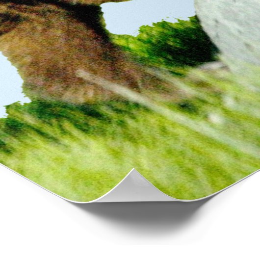 18x24 Plakatpapier (Matte) aus Grizzlybär Poster (Ecke)