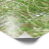 18x24 Satin-Foto Fotodruck (Ecke)