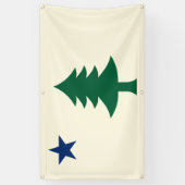 1901 Maine Flag Outdoor Banner (Vertikal)