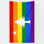 1901 Maine Flag Outdoor Banner - Rainbow Edition (Vertikal)