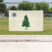 1901 Maine Flag Outdoor Banner - Vintager Stil (Insitu)