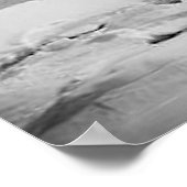 1901 Niagara Falls Print Poster (Ecke)