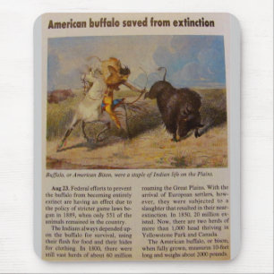 1902 Amerikanischer Büffel vor dem Aussterben gere Mousepad