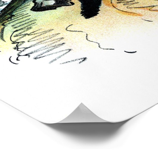 1902 Theodore Roosevelt Poster (Ecke)