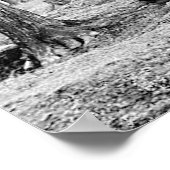 1904 Ahornzucker-Lager Vermont-Poster Poster (Ecke)